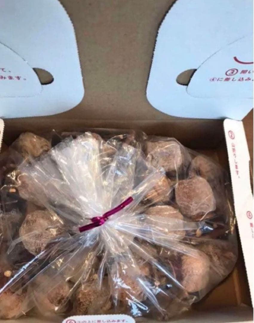 sakura産専用出 山形特産　紅干し柿。蔵王吊るし柿。