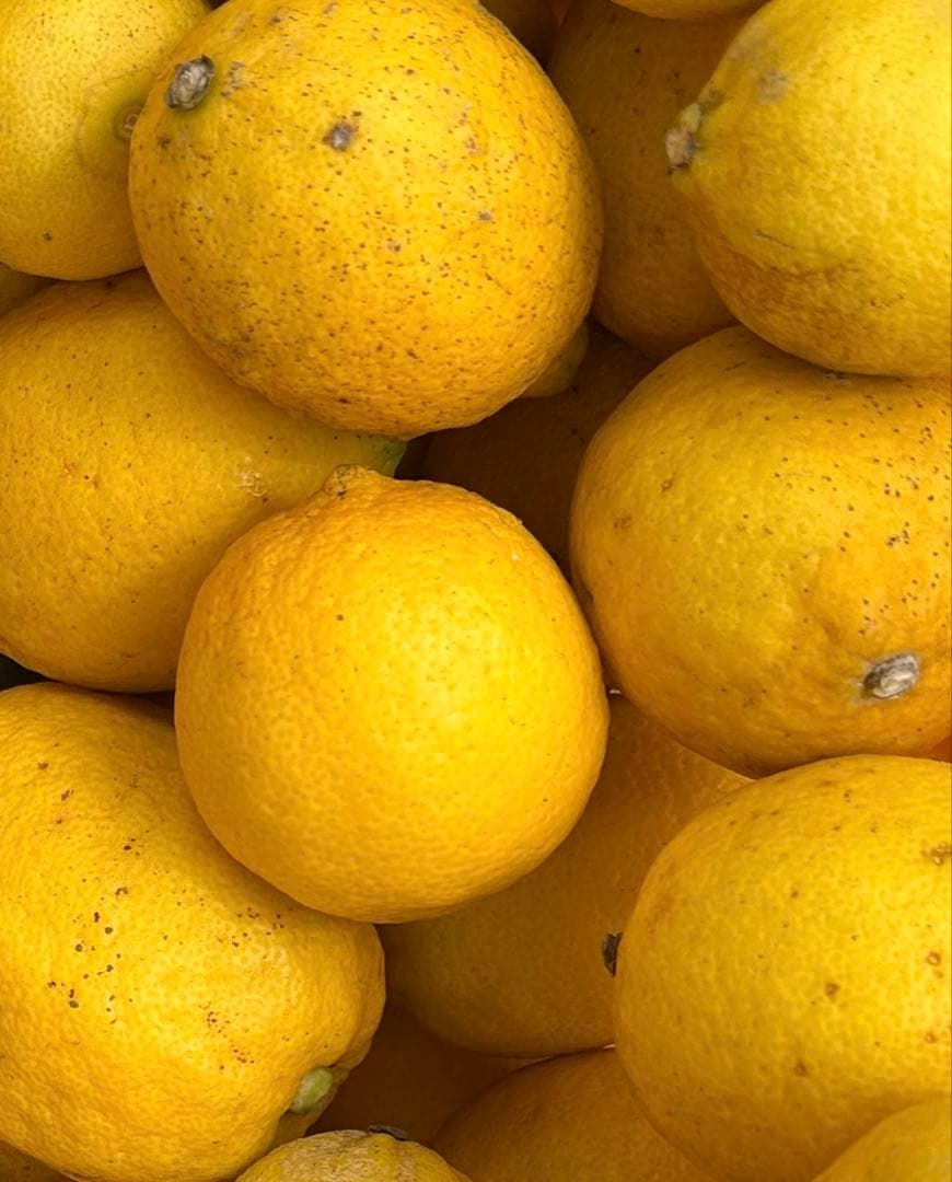 国産　瀬戸田レモン農薬不使用　　f