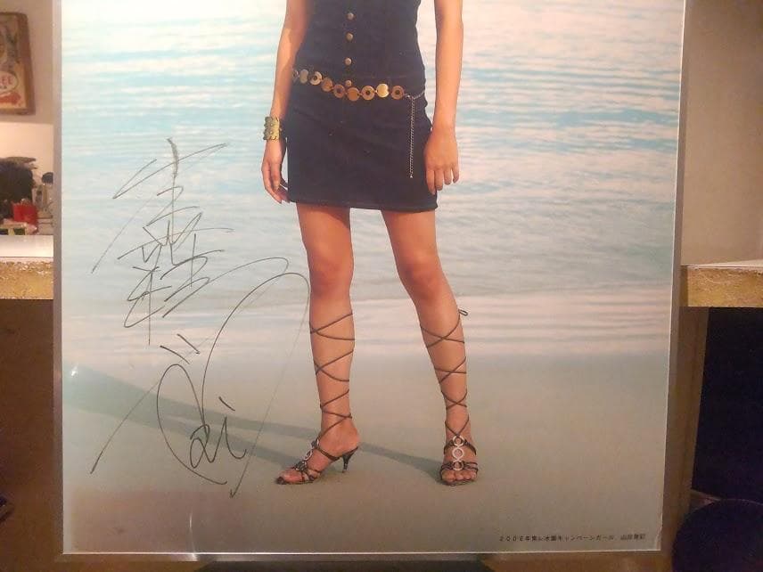 貴重 東レ 水着 キャンペーンガール 直筆サイン入り 山岸舞彩 ポスター 看板