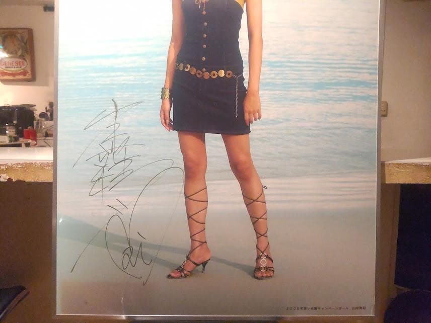 貴重 東レ 水着 キャンペーンガール 直筆サイン入り 山岸舞彩 ポスター 看板