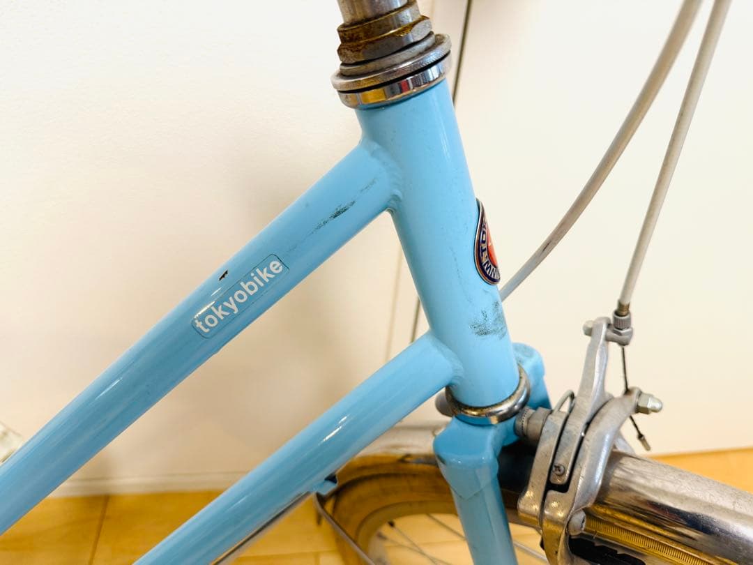 TOKYO BIKE Jr. Step 20インチ　アクア（水色）　泥除け付