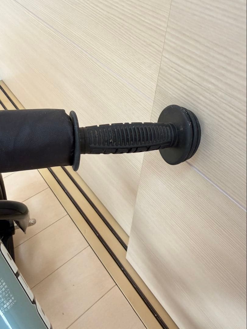 STRIDER スポーツモデル2023年限定カラー【アイスブルー】