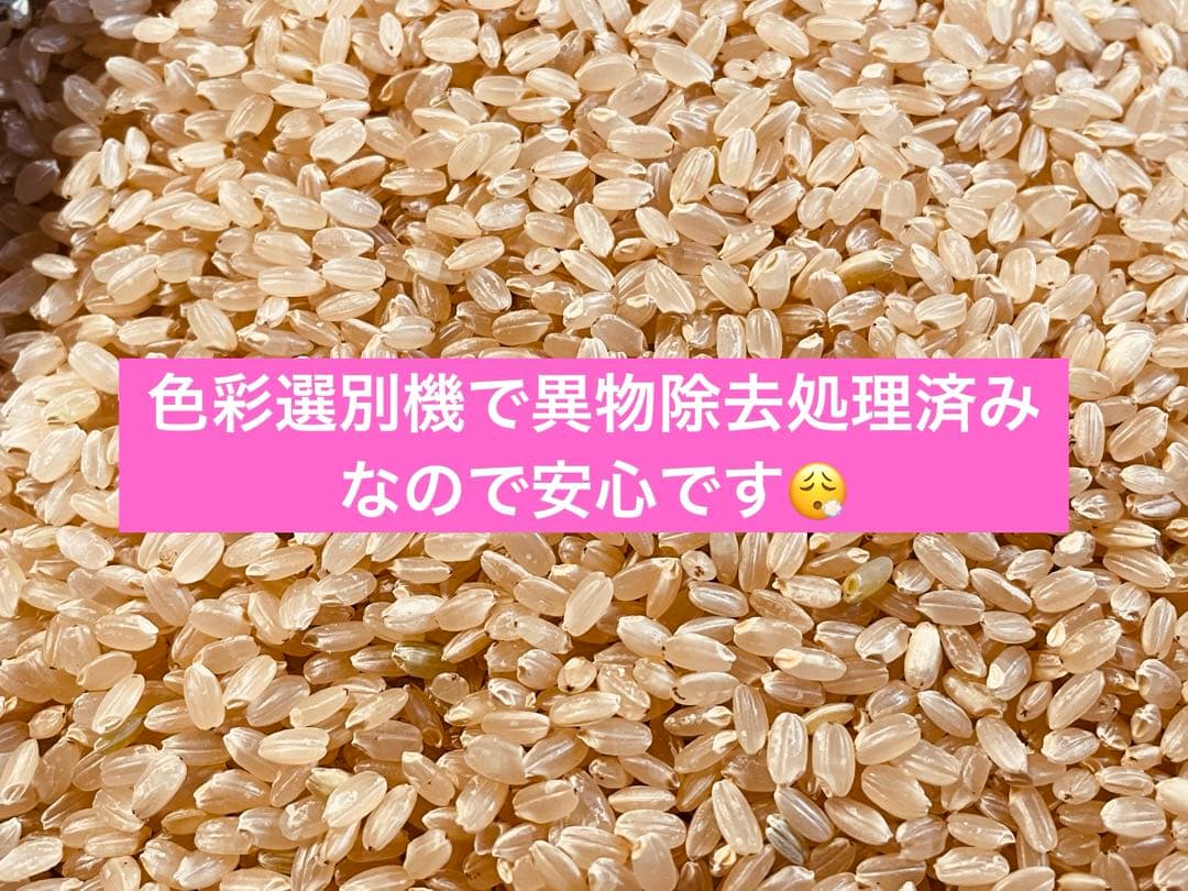 令和7年産ひとめぼれ玄米30キロ