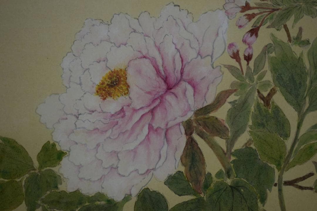 真作/房子/牡丹図/桐共箱付/布袋屋掛軸HJ-393