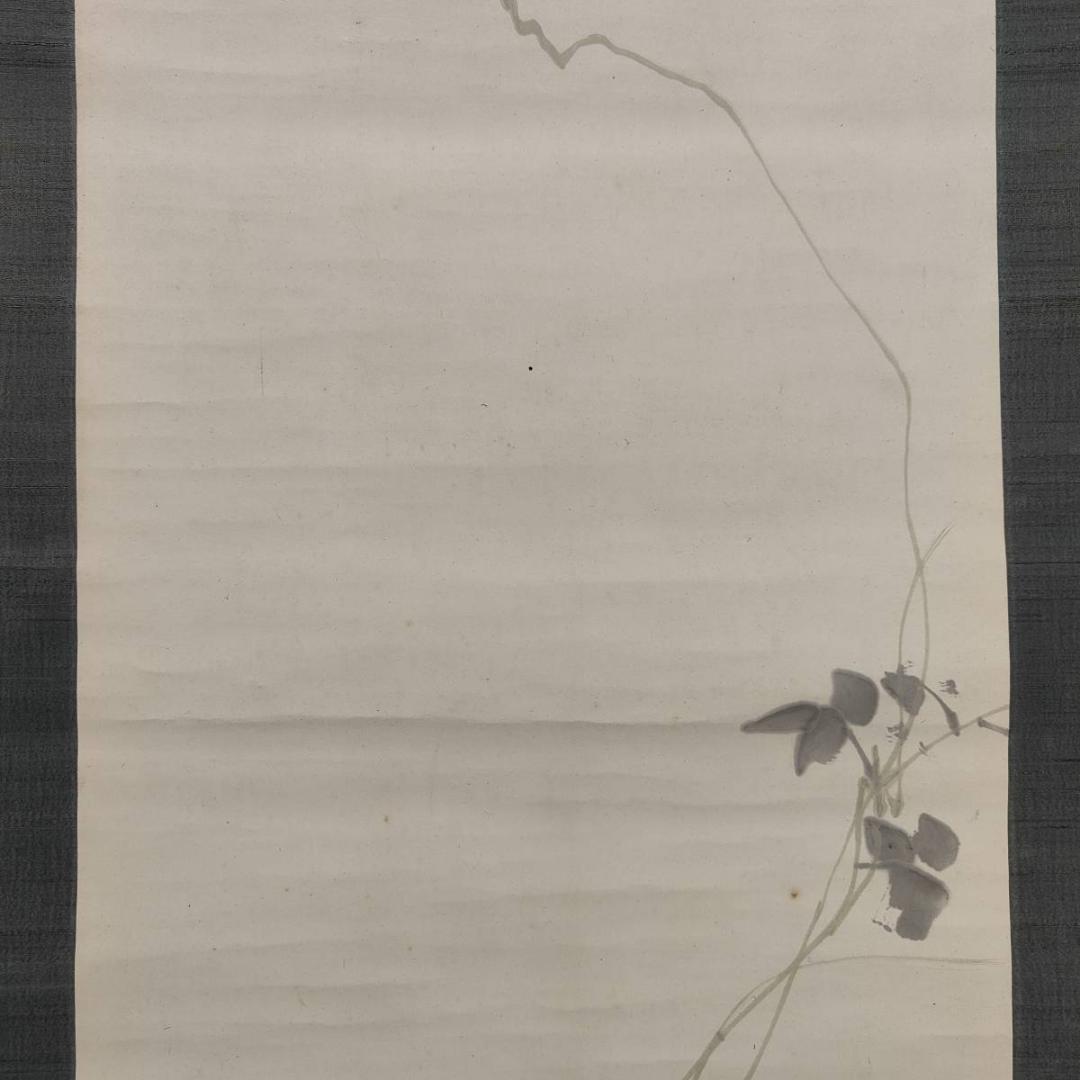 不詳/作者不詳/朝顔図/花/布袋屋掛軸A-451