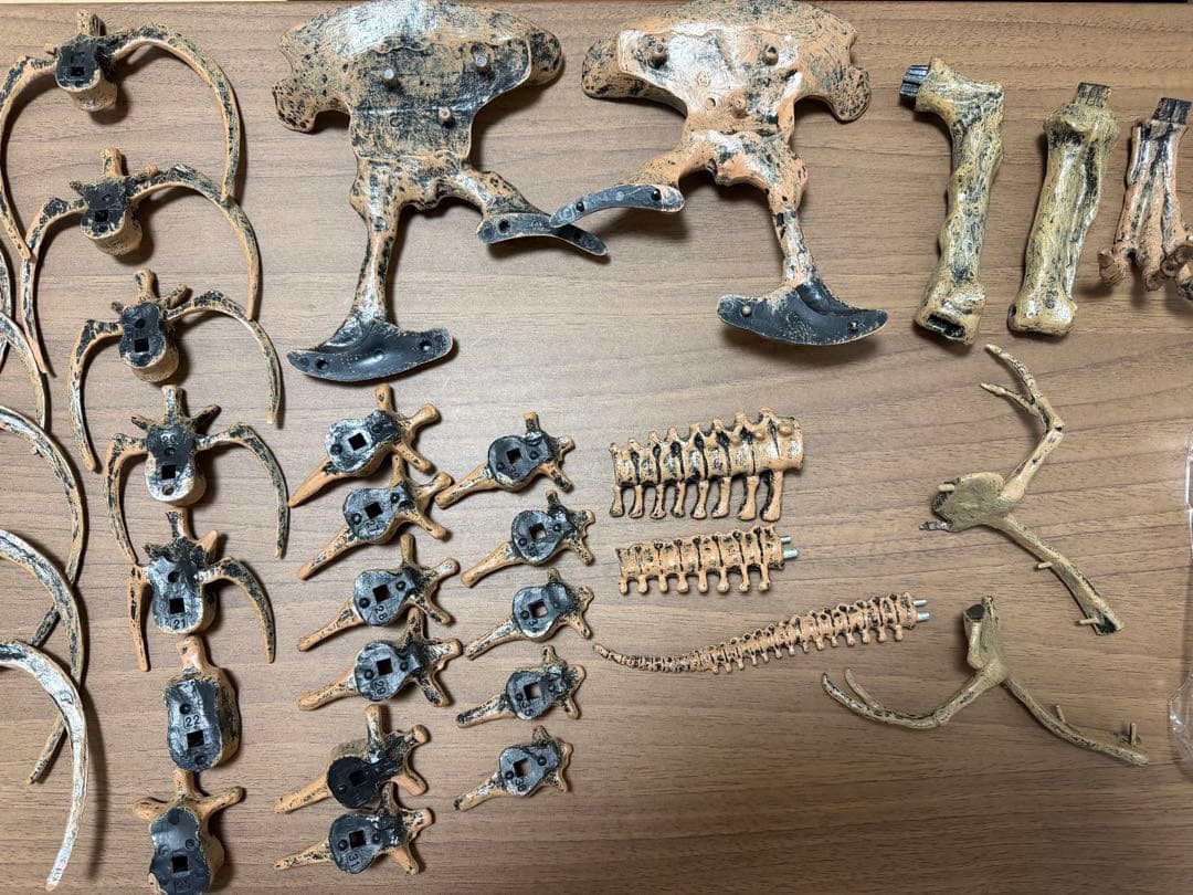 EDU-TOYS エデュトイ 恐竜工作 キット 51ピース ティラノサウルス