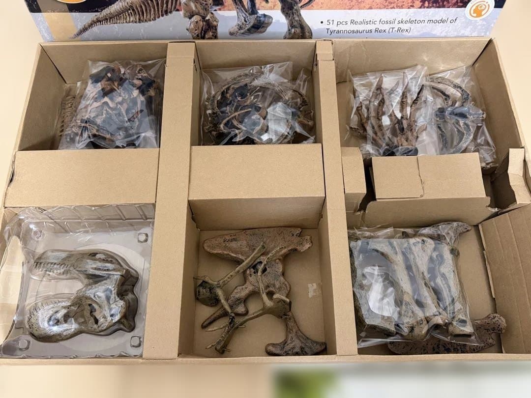 EDU-TOYS エデュトイ 恐竜工作 キット 51ピース ティラノサウルス