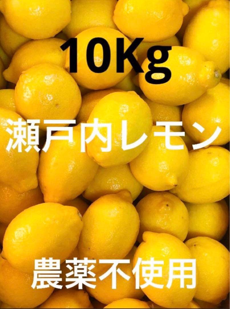 Ⅱ国産瀬戸内レモン10Kg