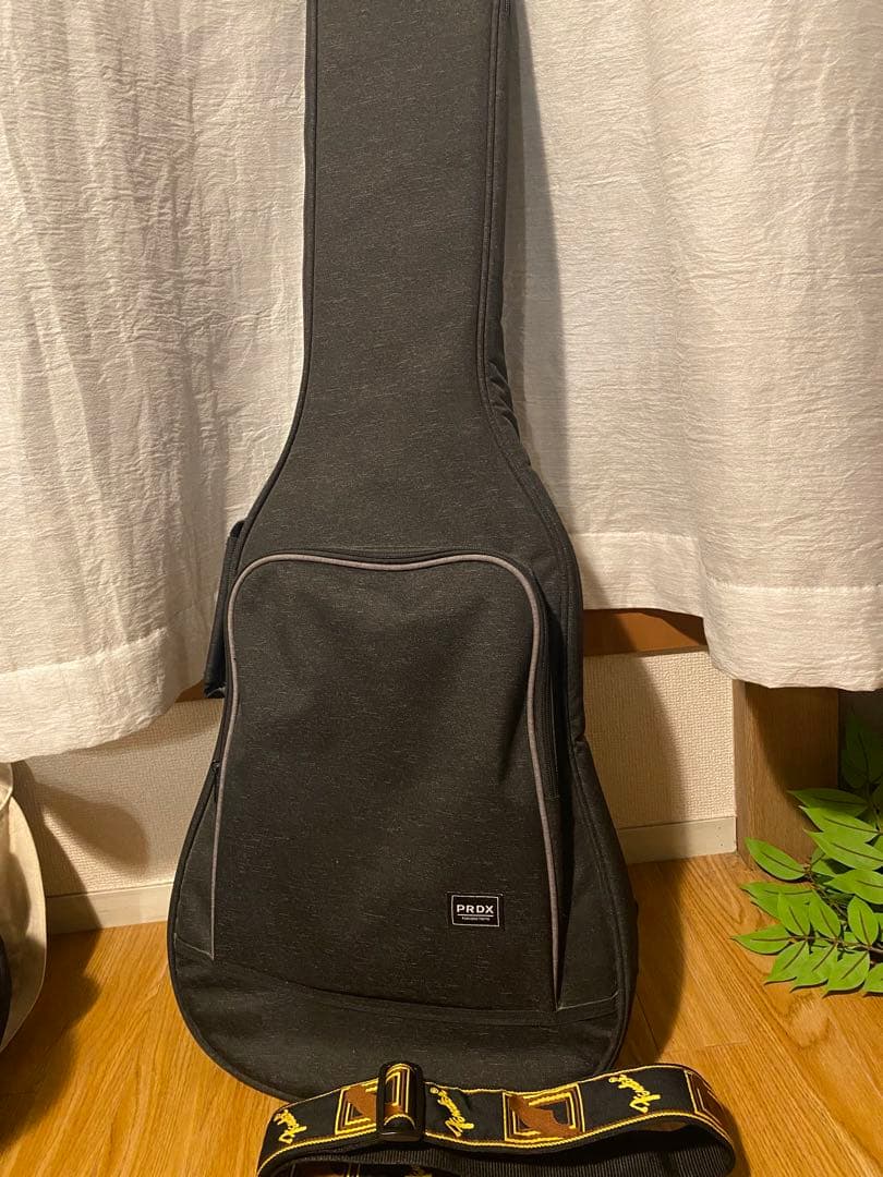 ギター Fender Telecaster Thinline