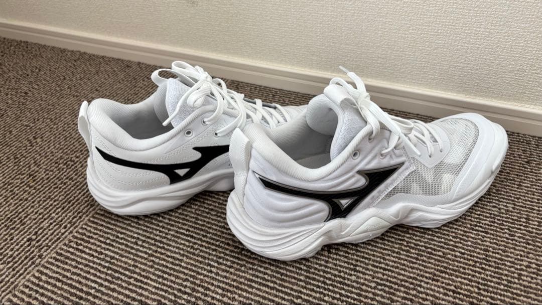 ミズノ　ウエーブモーメンタム エリートV1GA2512 バレーシューズ24センチ