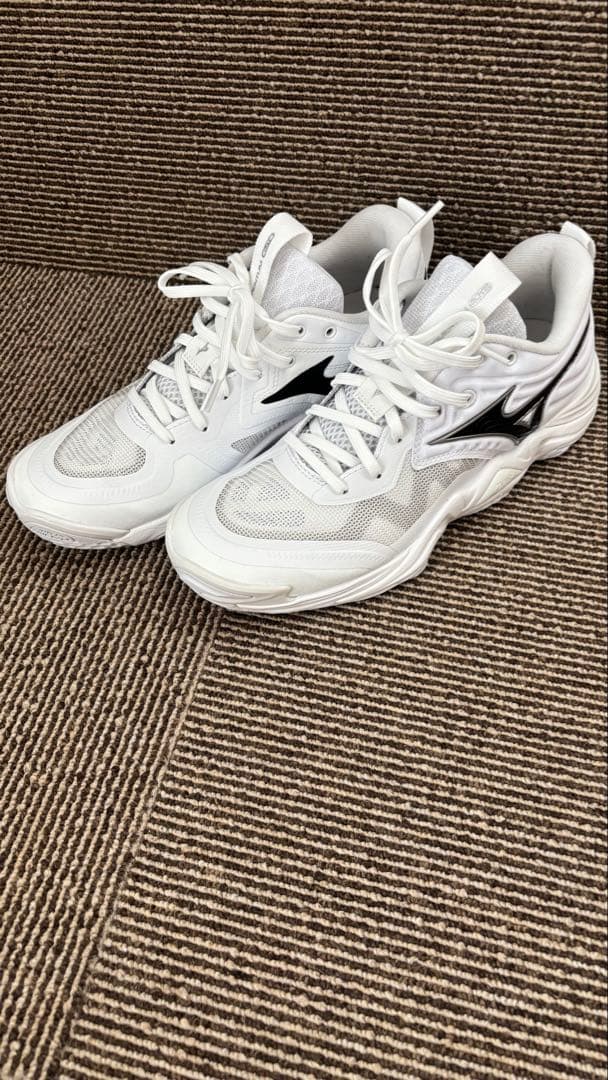 ミズノ　ウエーブモーメンタム エリートV1GA2512 バレーシューズ24センチ