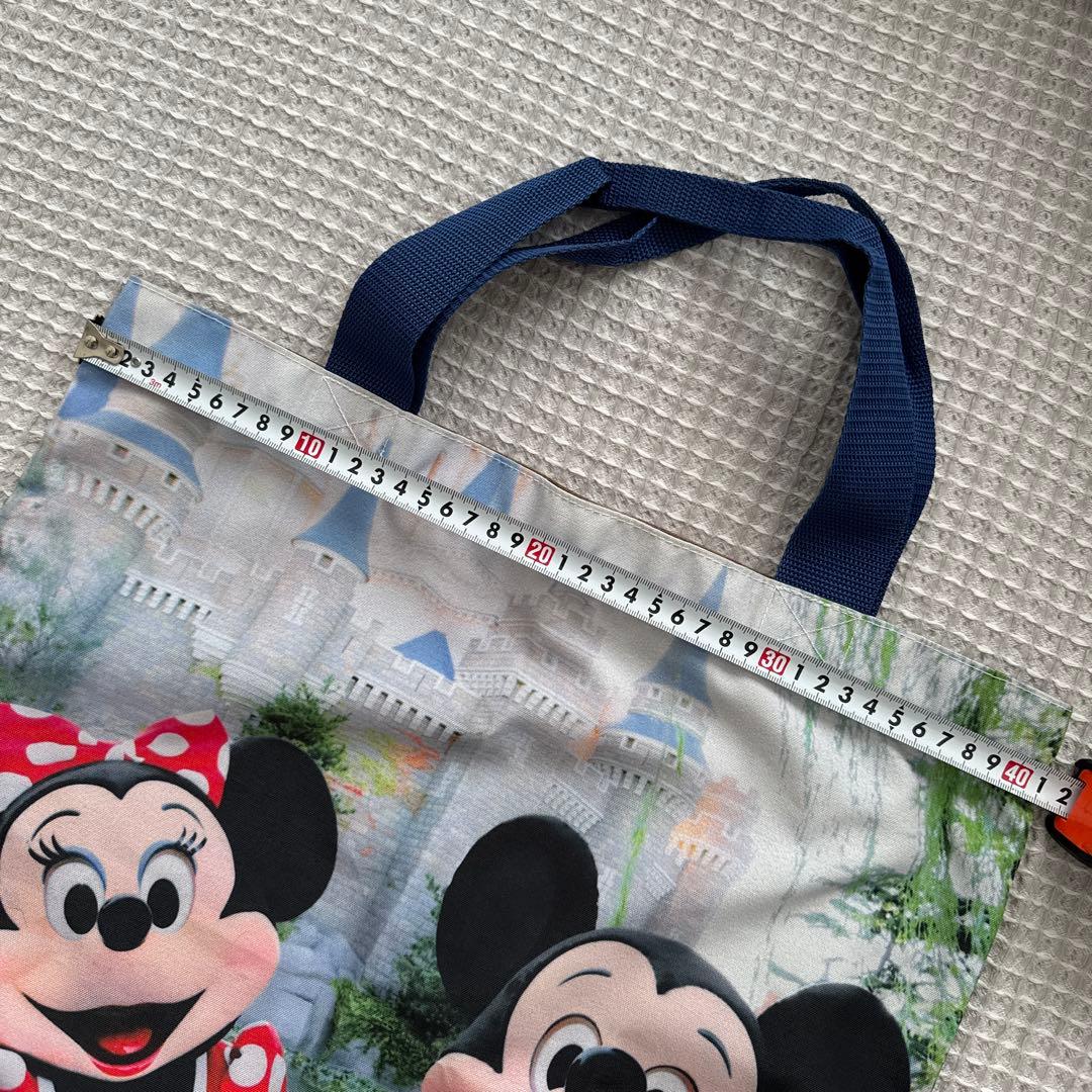 希少 ディズニーリゾート30周年 ミッキーミニー実写トートバッグ