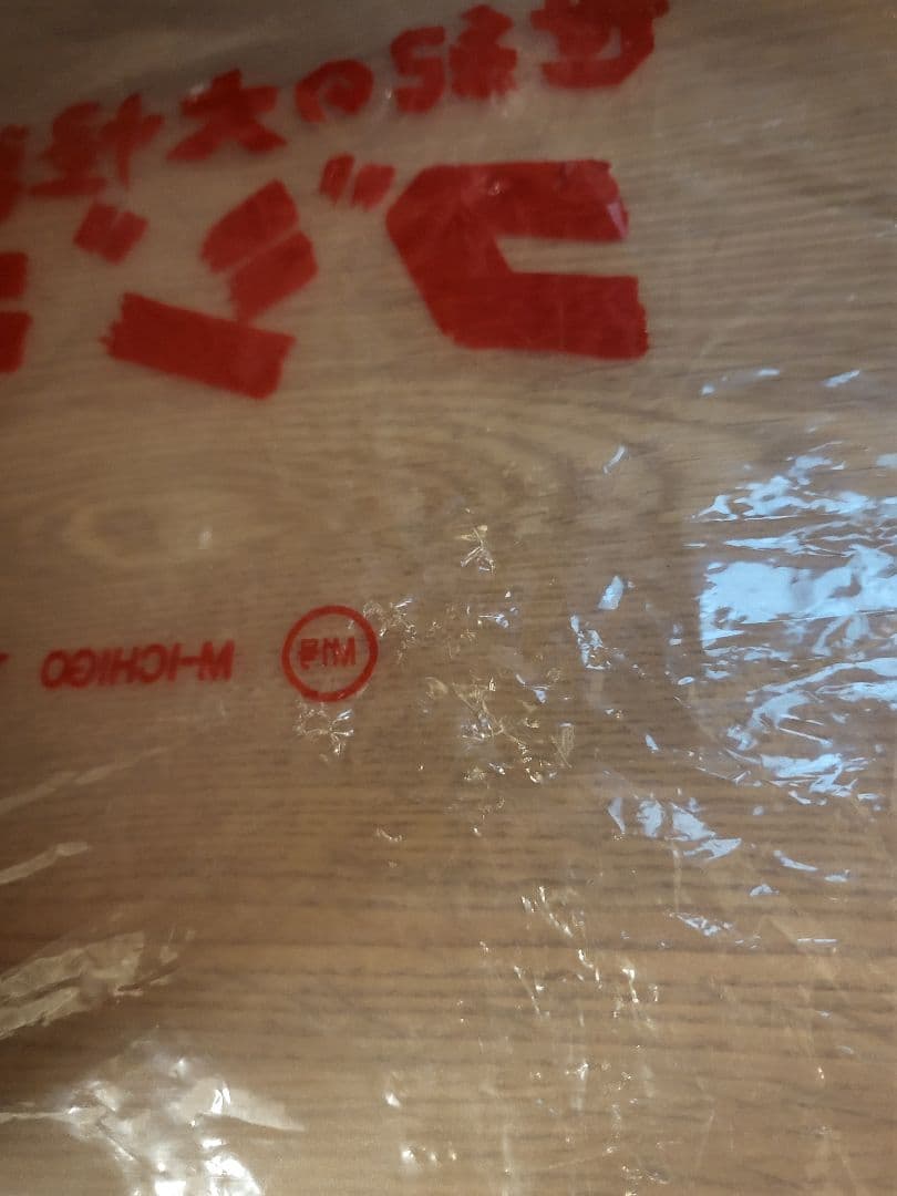 M1号　ゴジラビデオファンクラブ限定　ミレニアム