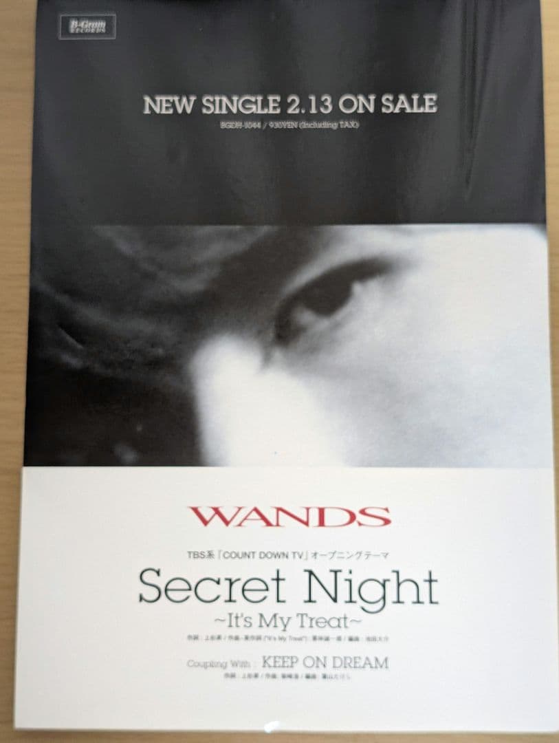 超希少　激レア　WANDS Secret Night 　スタンド型　ポスター