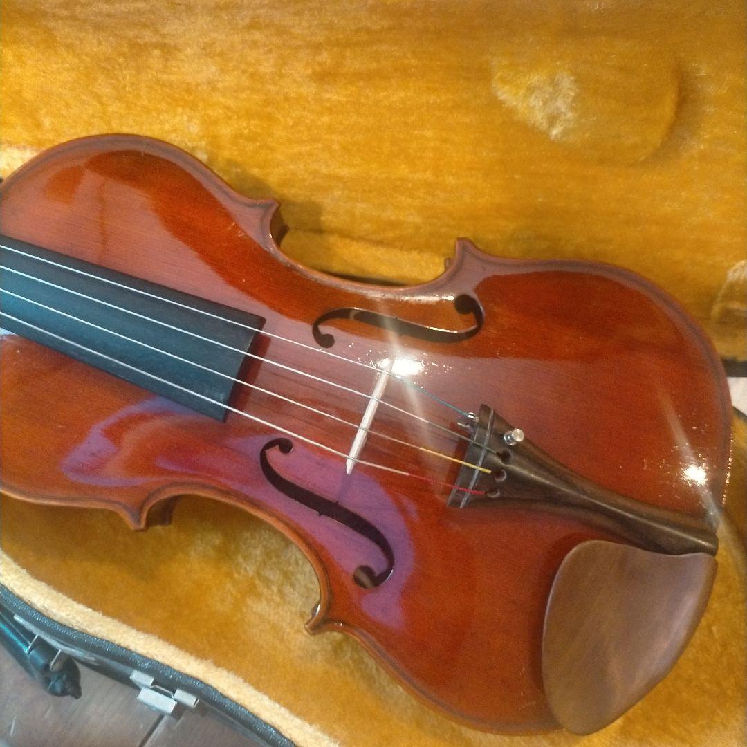 赤褐色 ビオラ本体