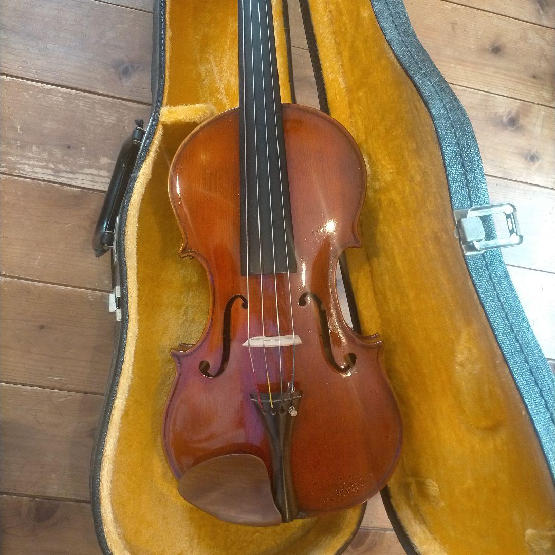 赤褐色 ビオラ本体