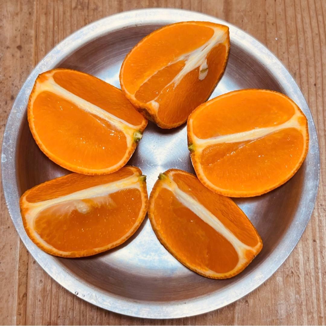 《人気の屋久島産！》甘いたんかん自宅用10kg箱 加工用 タンカン④