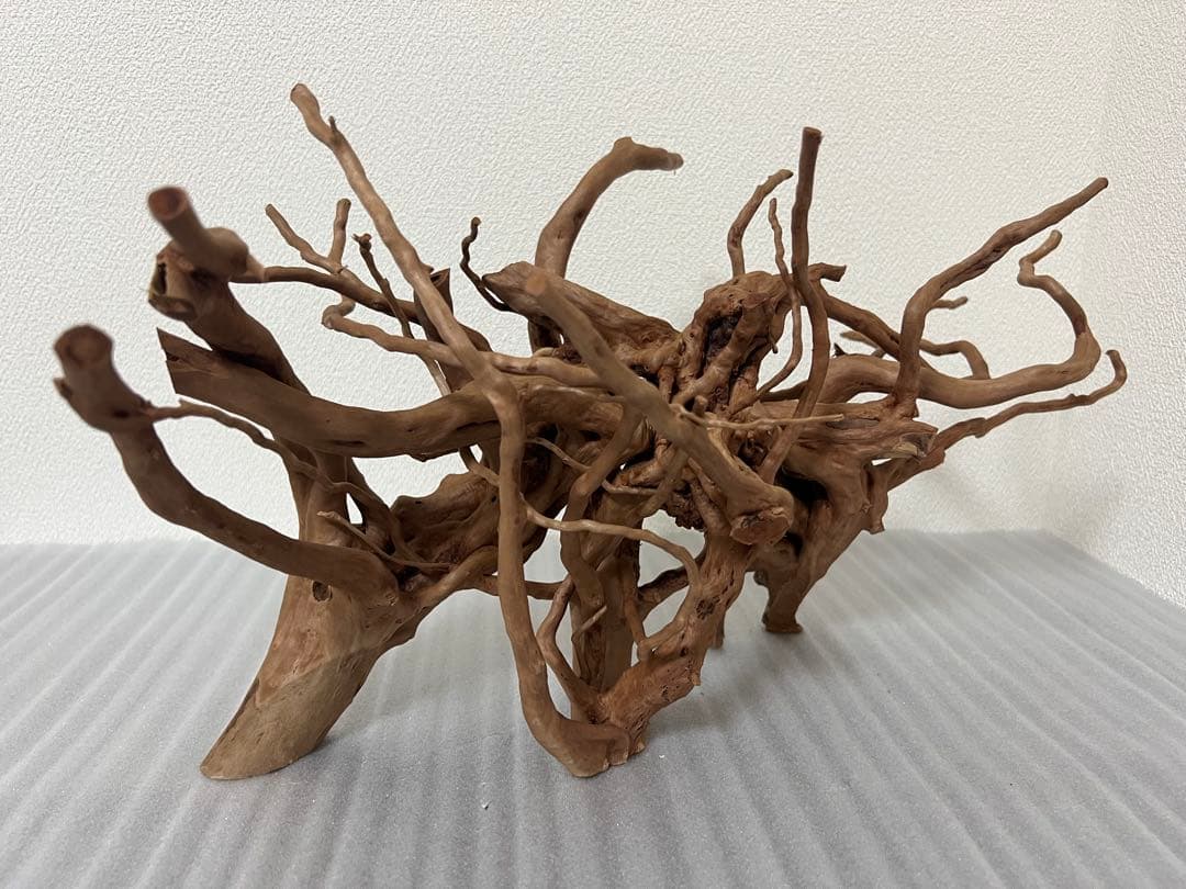 32701 ブランチウッド　流木　アクアリウム