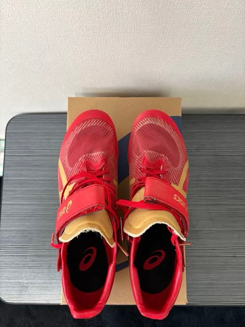 asics sonic sky pro(28.5cm) 陸上 走幅跳 スパイク