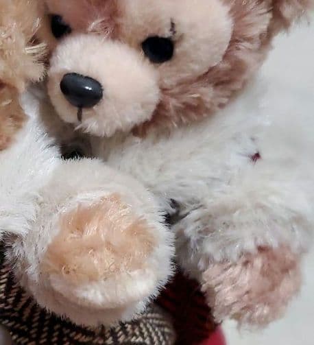 ダッフィー ダフフレ ウィンタートゥインクリングタウン ぬいぐるみバッジ