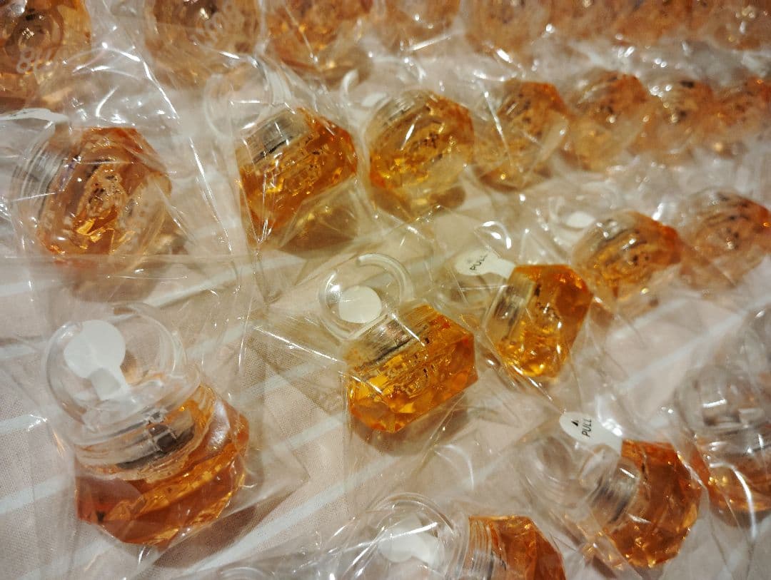 パラライ ロクタ  show 2022 リングライト リンライ