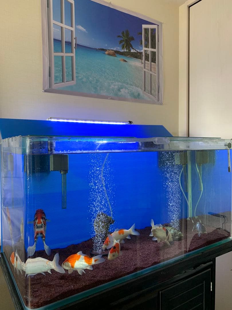 水槽コトブキ　90cm