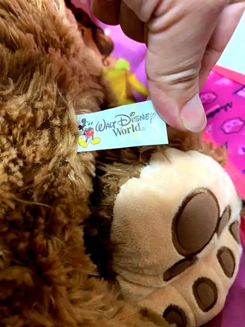 WDW ダッフィー ブラウン 貴重