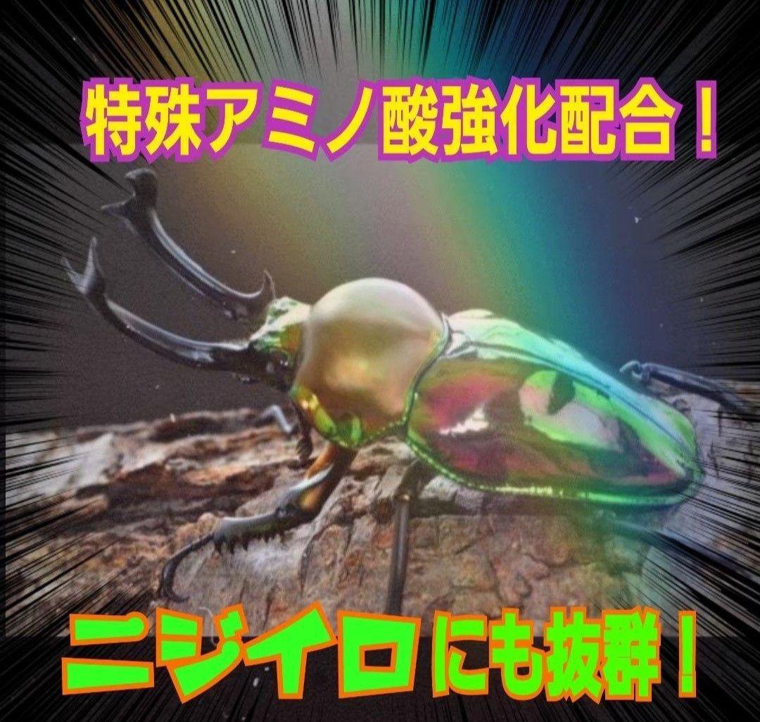 ヒマラヤひらたけ菌糸カップ【50個セット】初令、2令幼虫専用栄養添配合！