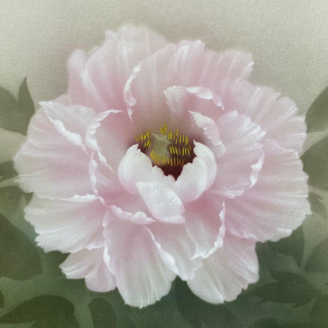 美品 掛け軸 中川幸彦作「富貴花」四季花 共箱 美術年鑑掲載 太巻き付 牡丹