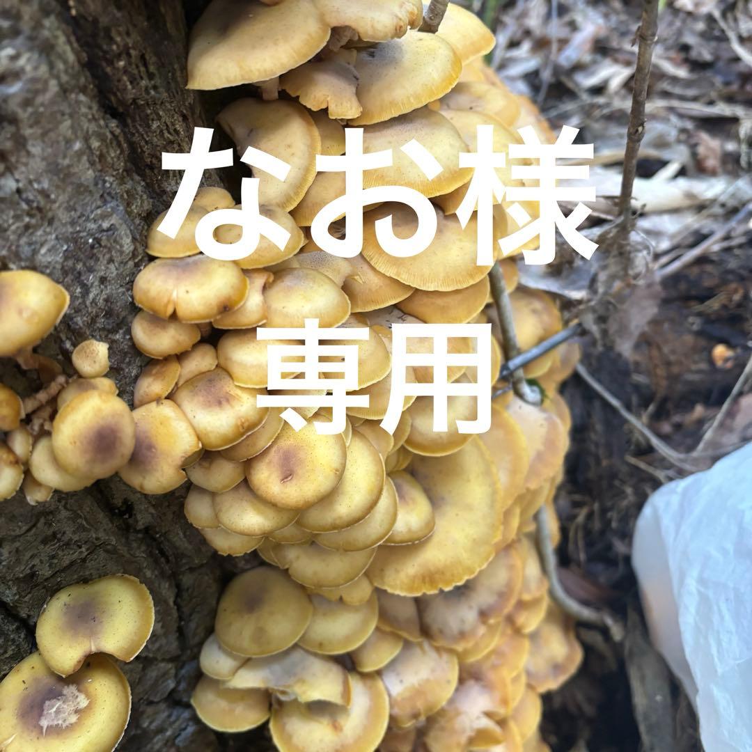 なおです　　　山菜　野菜　きのこ