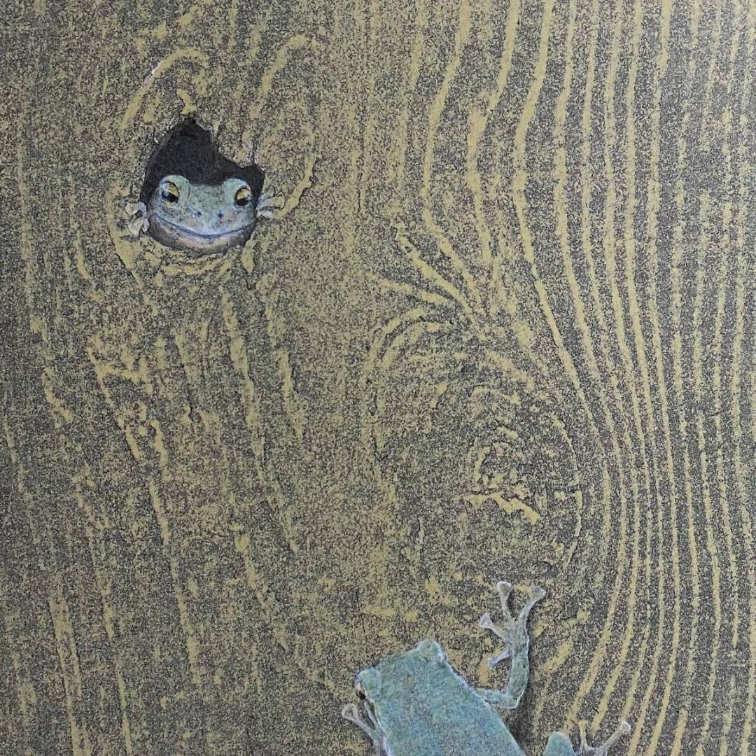 三繩健、【Hello！】、希少な額装用画集より、新品額装付、状態良好