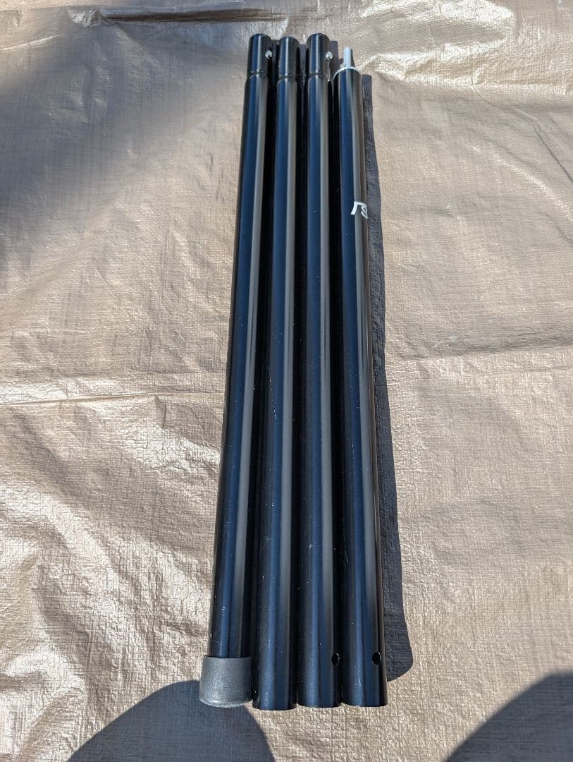 サバティカル　モーニンググローリーTC