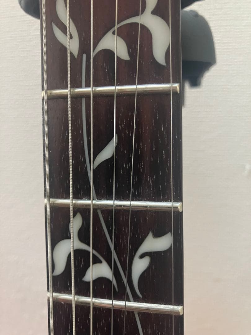 Ibanez/JEMJRSP-PK (Pink) アイバニーズ