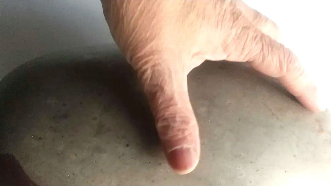 特大 希少価値‼️シバリンガム