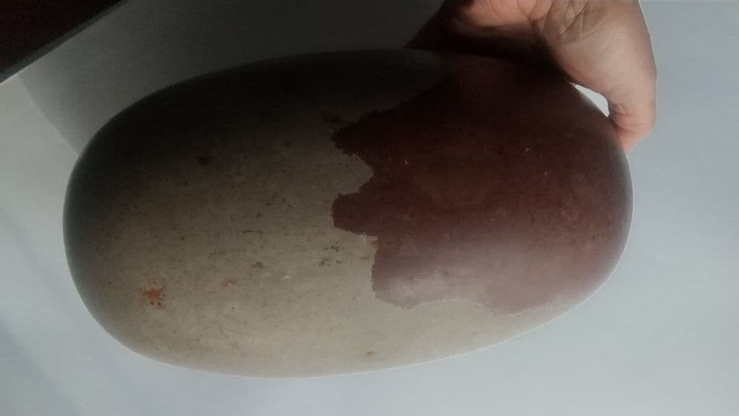 特大 希少価値‼️シバリンガム