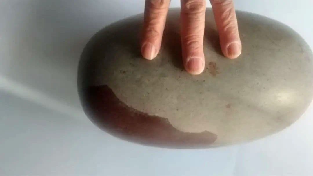 特大 希少価値‼️シバリンガム