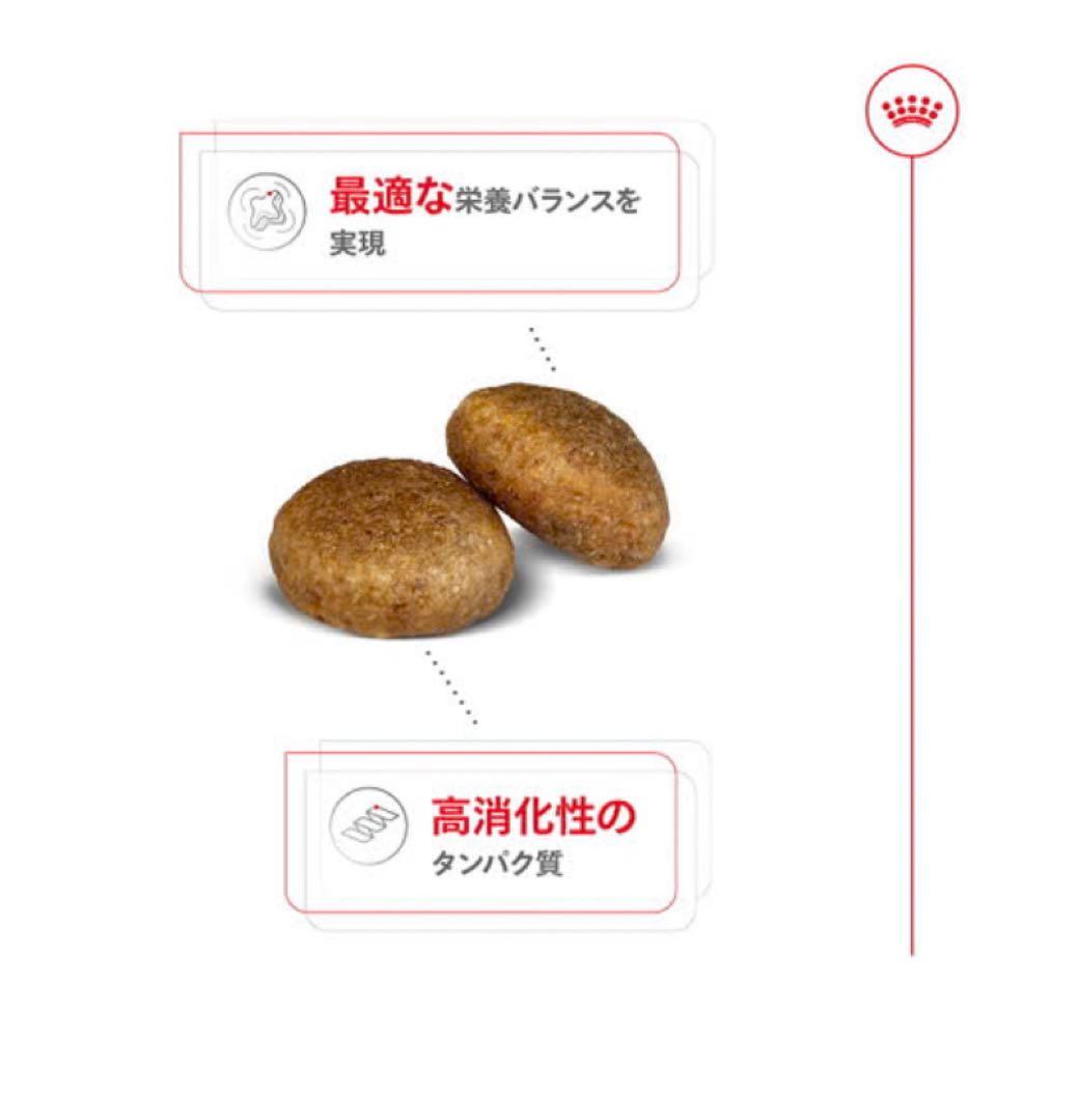 大型犬用 ドライフード 16kg 成犬用　 新品未開封　ロイヤルカナン