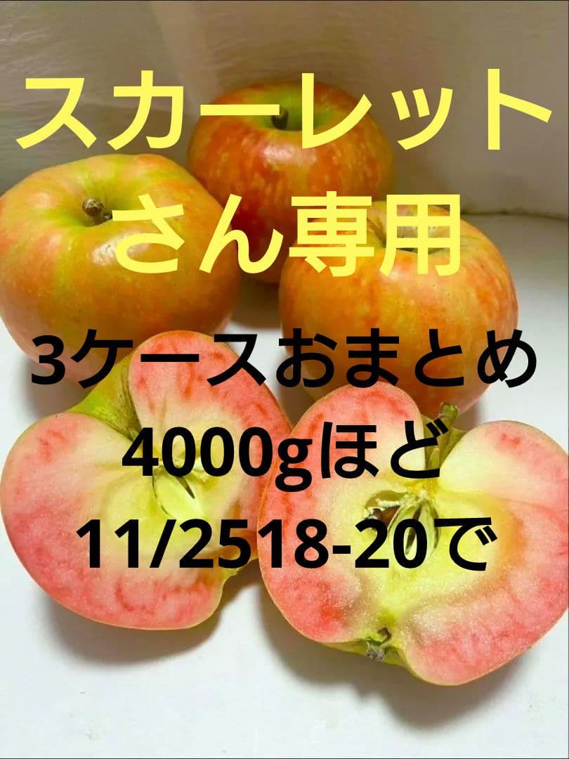 スカーレットさん専用