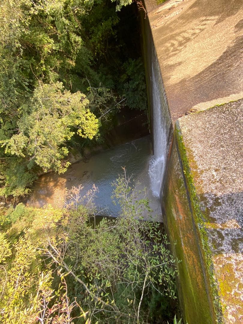 はちみつ　日本蜜蜂のハチミツ　巣箱違いの蜂蜜　奥山の奥