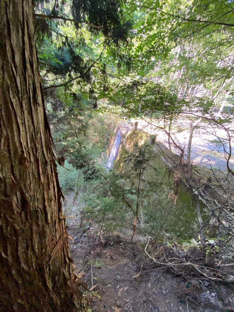 はちみつ　日本蜜蜂のハチミツ　巣箱違いの蜂蜜　奥山の奥