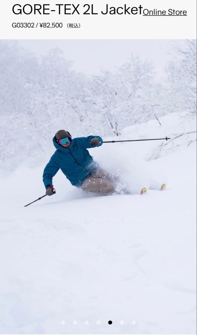 Goldwinゴールドウィン GORE-TEX 2L Jacket スキーウェア