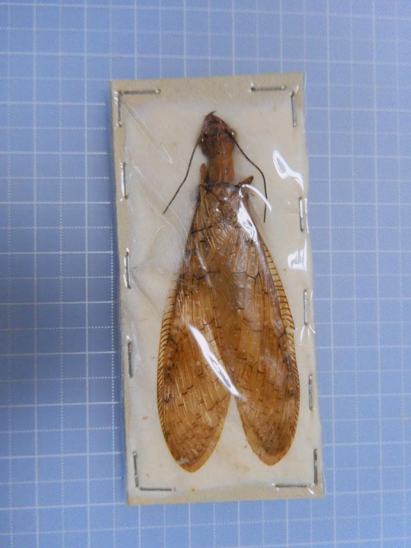 そばぼうろ様 リクエスト 9点 まとめ商品