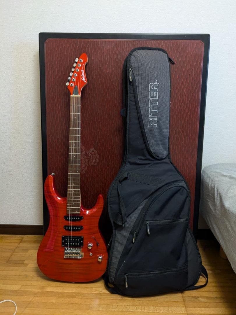 Aria Pro II エレキギター と RITTER ギターケース