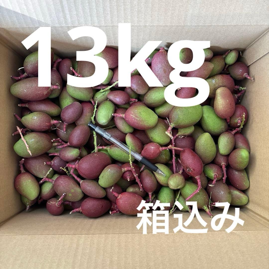 摘果マンゴー　13kg箱込み