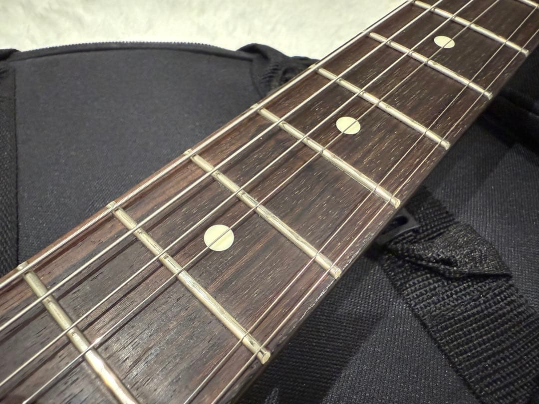 〖最終値下げ〗FUJIGEN NTL10-RAL mod