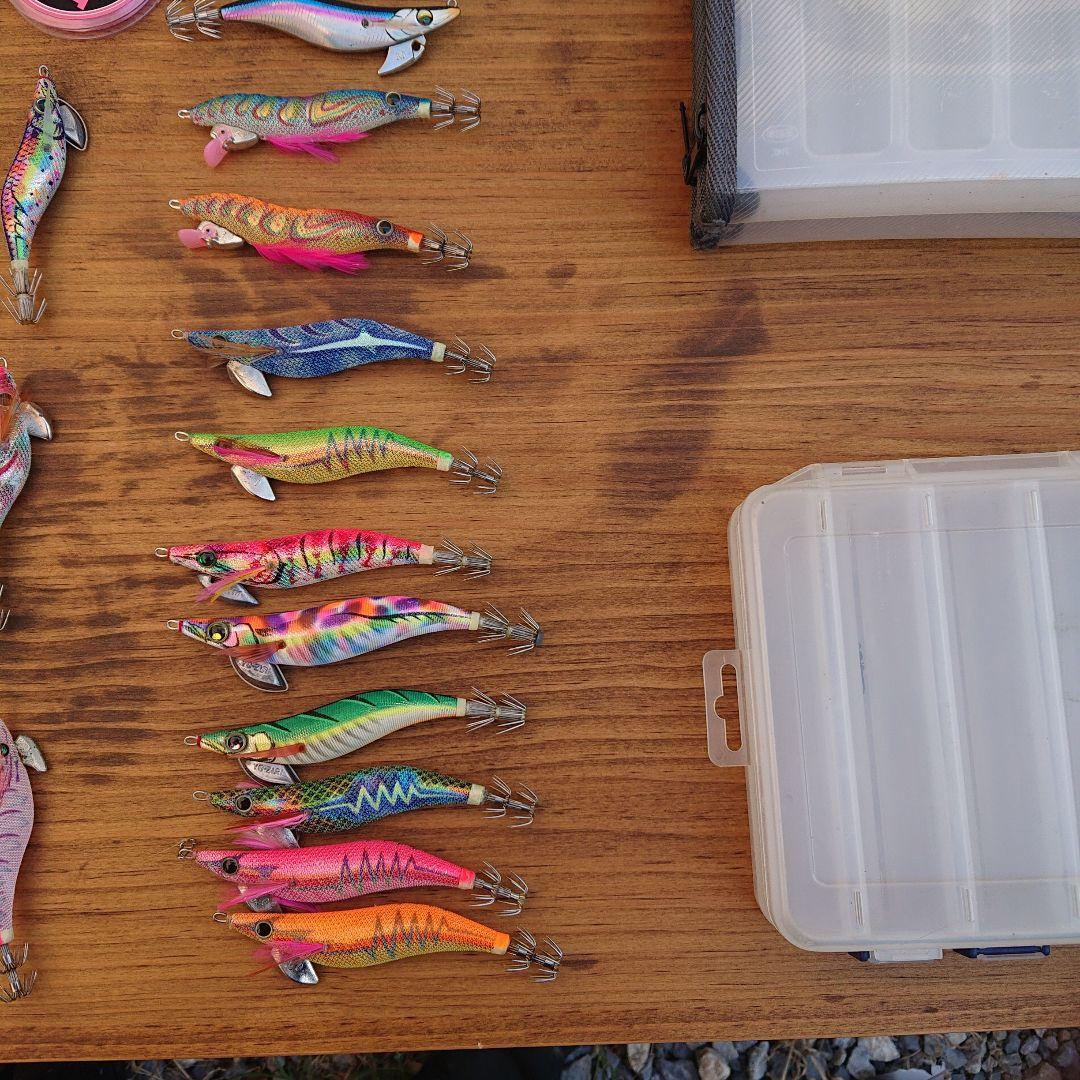 イカ、エギング