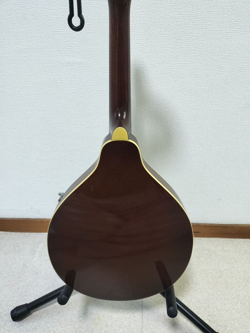 Samickサミック マンドリン sm20ts