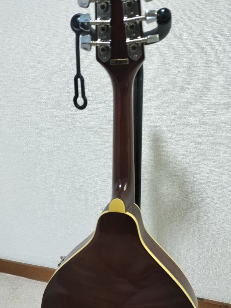 Samickサミック マンドリン sm20ts