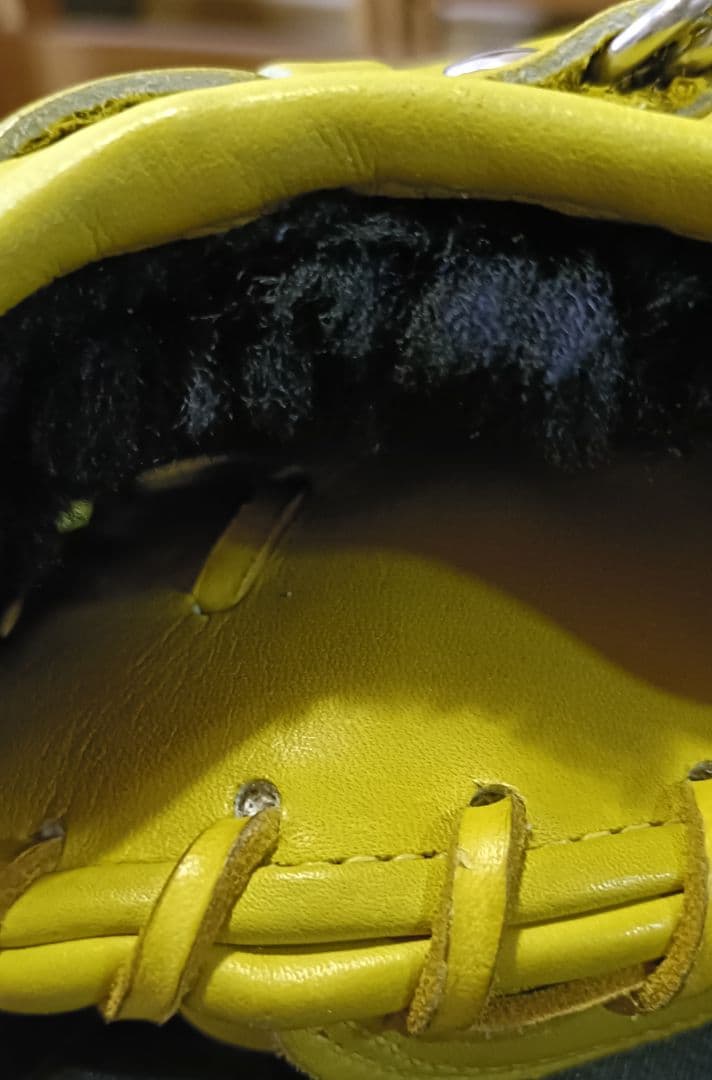 ミズノ (MIZUNO)ビクトリーステージ キャッチャーミット