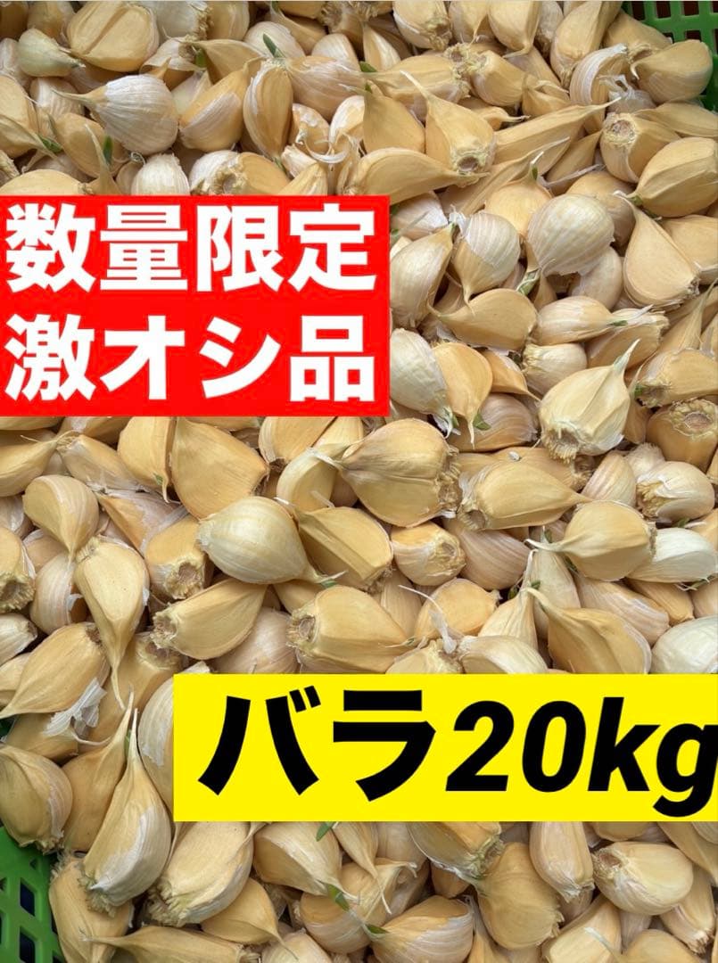 【激安】青森県産にんにく MIXバラ20kg福地ホワイト 訳あり品　お買い得